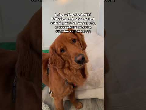 100% true 😂 サムネイル