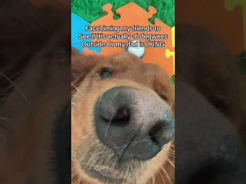 Dads never lie 😉 サムネイル