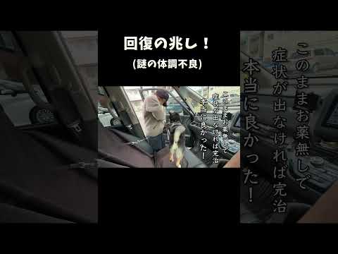 回復の兆し サムネイル