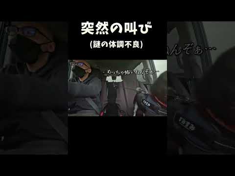 突然の叫び サムネイル