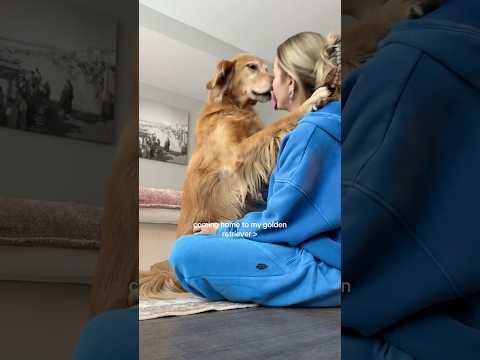 4K TRANSPERANT | TRYON_HUAL BIKINIS👙COLOR🥵#india #tryonhaul… サムネイル