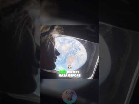 Laika The Dog Who Never Came Back from Space shorts dog pet… サムネイル