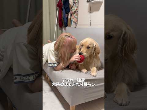 ぬいぐるみ系のおもちゃはすぐに穴開けます⋯せっかくプピプピなるやつなのに穴開けてばっかり🤷‍♀️ゴールデンレトリバー… サムネイル