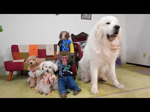 これが、みんなで撮る最後の集合写真になりました サムネイル