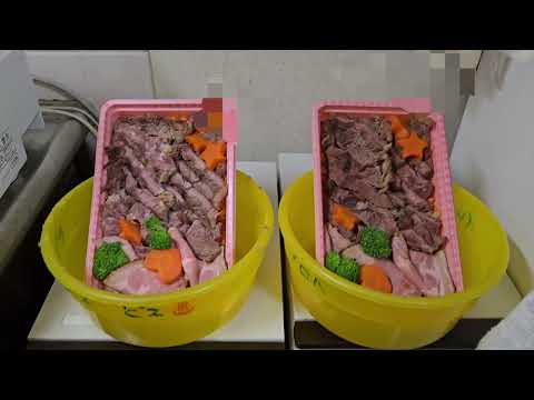 3月15日はビス９歳の誕生日でした。 サムネイル