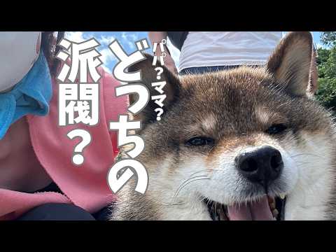 胡麻柴をめぐる夫婦の攻防戦？ サムネイル