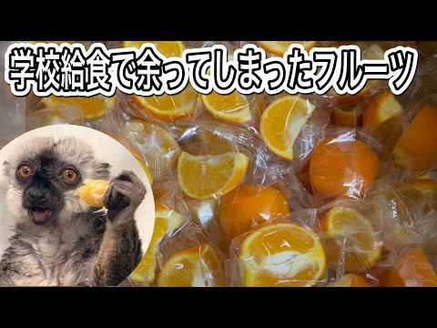 お店だけでなく様々な場所で余りが出る果物・・・。今回は学校給食で余ったフルーツを支援して頂きました！！ サムネイル