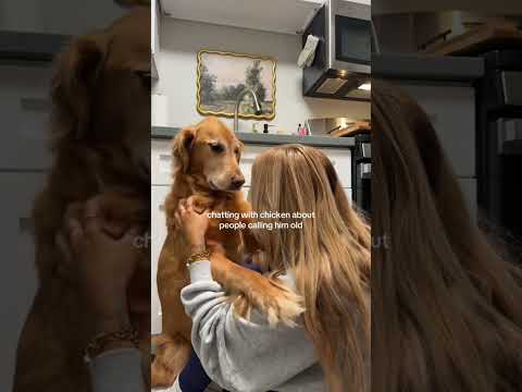 coming home to my golden retriever🥵 goldenretreiver dog ind… サムネイル