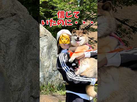 優しそうな人ほど怪しいと悟った柴犬… サムネイル