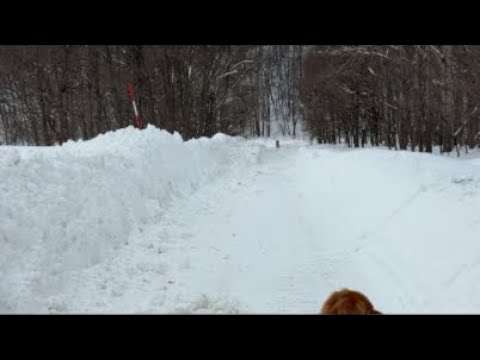 終わった…イルミネーションが… サムネイル