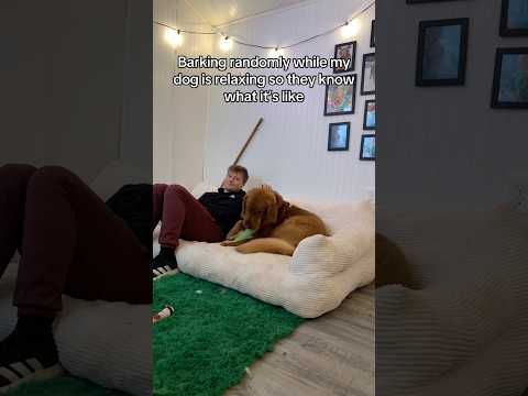 Do you think he understood? 😂 サムネイル