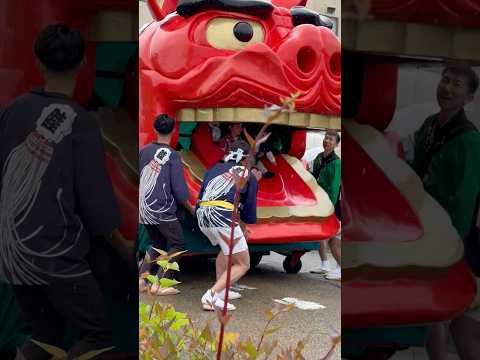 shorts 酒田大獅子桜🌸　獅子パックン　酒田まつり サムネイル