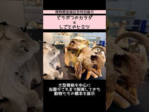 【3/20start　博物館登録特別展示「どうぶつのカラダ×しごとのヒミツ」】東武動物公園 動物 動物園 zoo an… サムネイル