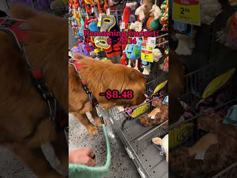 Good dad or just a push over? サムネイル