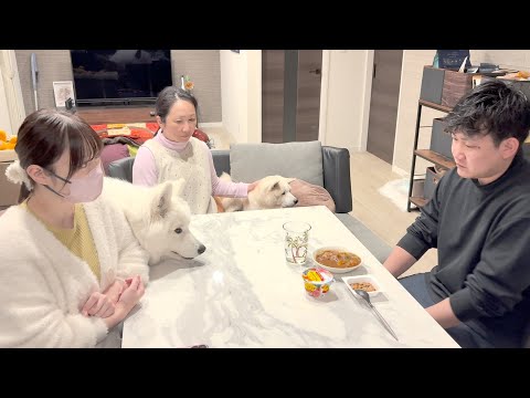 ３１歳８６キロ肥満男が半年で１５キロ痩せるダイエット計画を発表します サムネイル