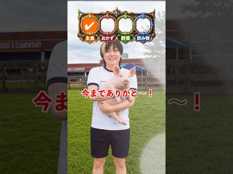 弁当をそろえろ！ サムネイル