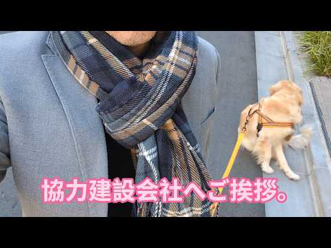 プロジェクトの強力な協力建設会社へ挨拶へ行く。ゴールデンレトリバーティト