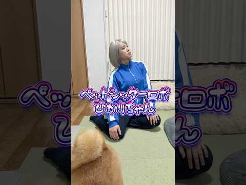 修理が必要やな🤔笑 柴犬 shorts サムネイル