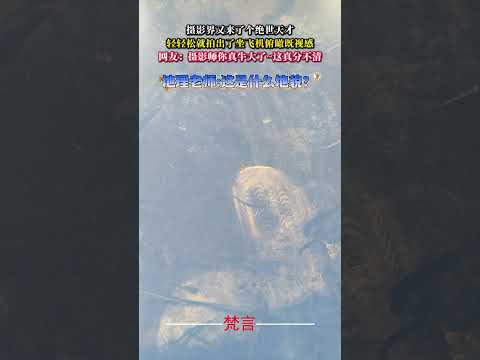 攝影界又來了個絕世天才 輕輕鬆就拍出了坐飛機俯瞰既視感 意外 有趣 萬萬沒想到 amazing funny shorts