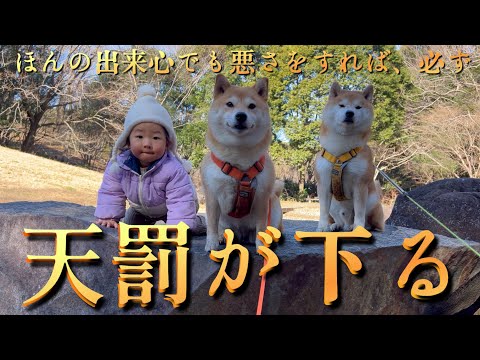 出来心でイタズラをしたら、当然の様に天罰が下った女&柴犬＆娘の散歩 サムネイル
