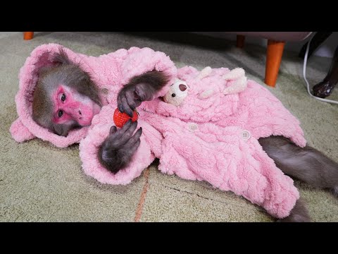 人間の「だらけグッズ」がお猿さんに効果がありすぎて驚いています（大汗） サムネイル