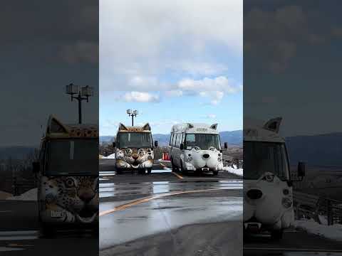 shorts ワンニャンバス🚌　那須どうぶつ王国 サムネイル
