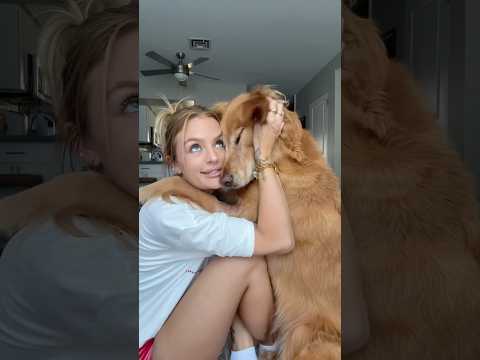 coming home to my golden retriever🥵goldenretreivers dog pup… サムネイル