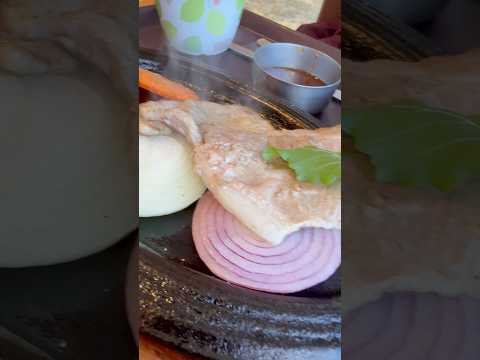 shorts ジュージュー美味しい😋トチブー鉄板焼き　ヤマネコテラス　那須どうぶつ王国にて　2026年1月4日