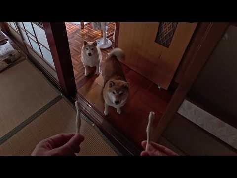 2026年6月26日(金) 税務署の方から来ました！！