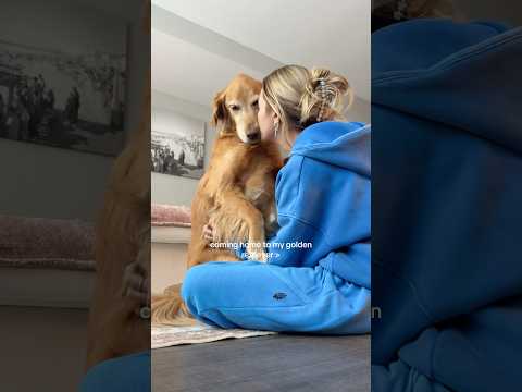 4K TRANSPERANT | TRYON_HUAL BIKINIS👙COLOR🥵#india #tryonhaul… サムネイル