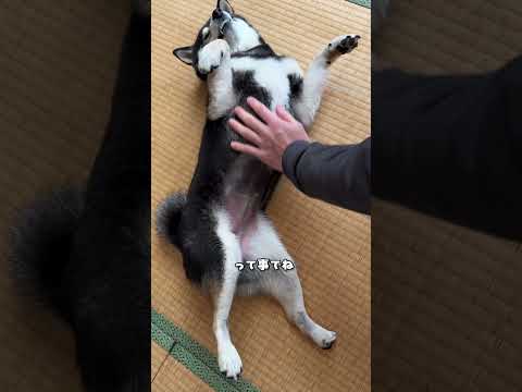 アタチは元気ですけど。 サムネイル