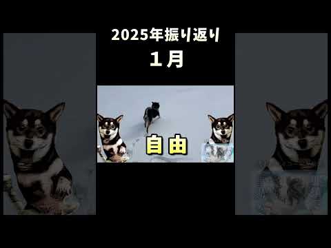 2025年振り返り_1月 サムネイル