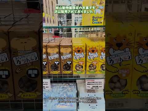 【旭山動物園】東門売店テイルンテイル🎁東門レストランカムイチカプ🍴shorts サムネイル