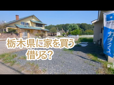 栃木県に家を買う？借りる？物件探し始まる。ゴールデンレトリバーティト サムネイル