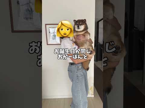 胡麻柴の花さん！12歳誕生日Vlog🤔 サムネイル