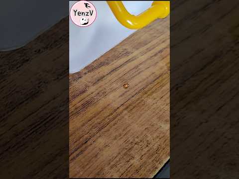 迷你瓢蟲亂入跑好快 ladybug taiwan サムネイル