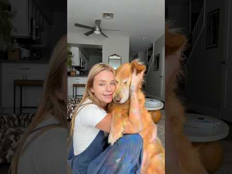 coming home to my golden retriever🥵 goldenretreiver dog ind… サムネイル