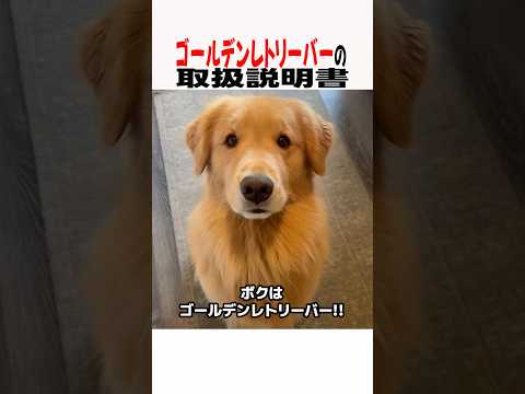 ゴールデンレトリーバーの取扱説明書 サムネイル