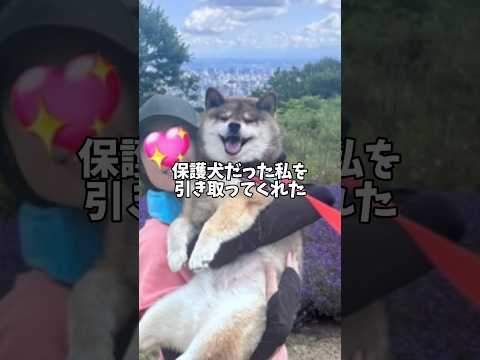 柴犬🐕はみた！優しい飼い主の裏の顔・・・ サムネイル