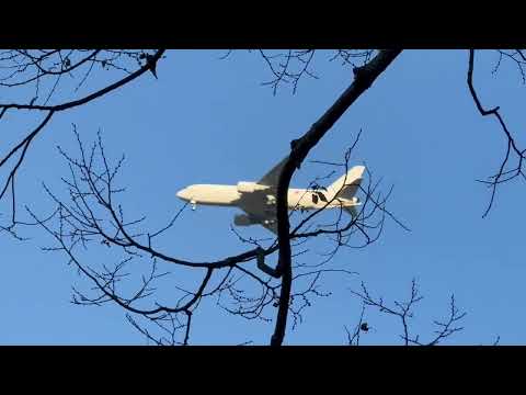 ん？旅客機？　東山動植物園にて　2025年12月12日 サムネイル