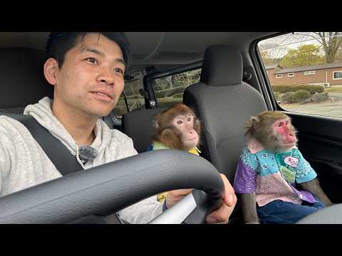 猿の老後を考えて350万円でワゴン車を買った サムネイル