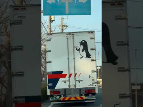 shorts ペンギンのイラストがいいね👍　のんほいパークの帰り　2026年1月23日 サムネイル