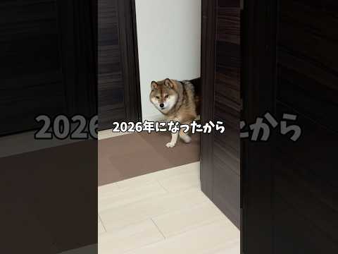 🐕年が明けても変わらないもの サムネイル