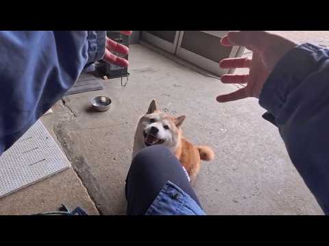 遊んであげている様で遊ばれてる可能性 サムネイル