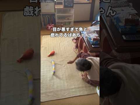 本気で見間違えていたらしい 猫 おばあちゃん おばあちゃんと猫 shorts サムネイル