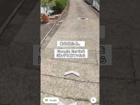 ふとGoogle Earthで家の周りを見てみたら虹の橋を渡ったはずの愛犬がいた #ボーダーコリー #googleea… サムネイル