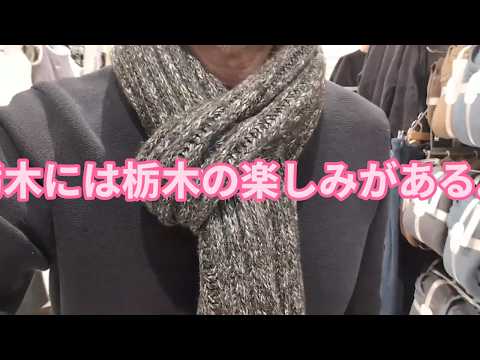 栃木には栃木の楽しみ方がある。ゴールデンレトリバーティト サムネイル