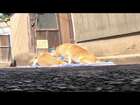 お風呂が終わったら・・・ サムネイル