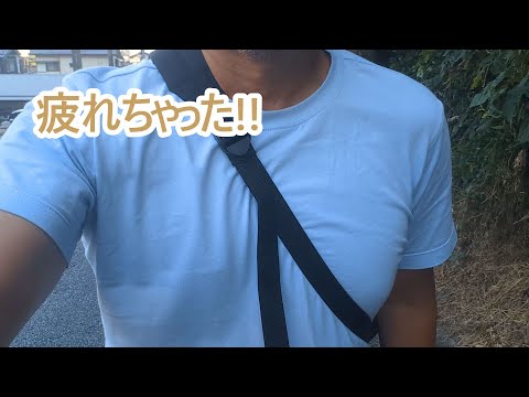 疲れちゃった。ゴールデンレトリバーティト サムネイル