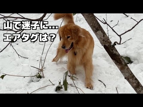 山で迷子になったら...AirTagは本当に使えるのか サムネイル